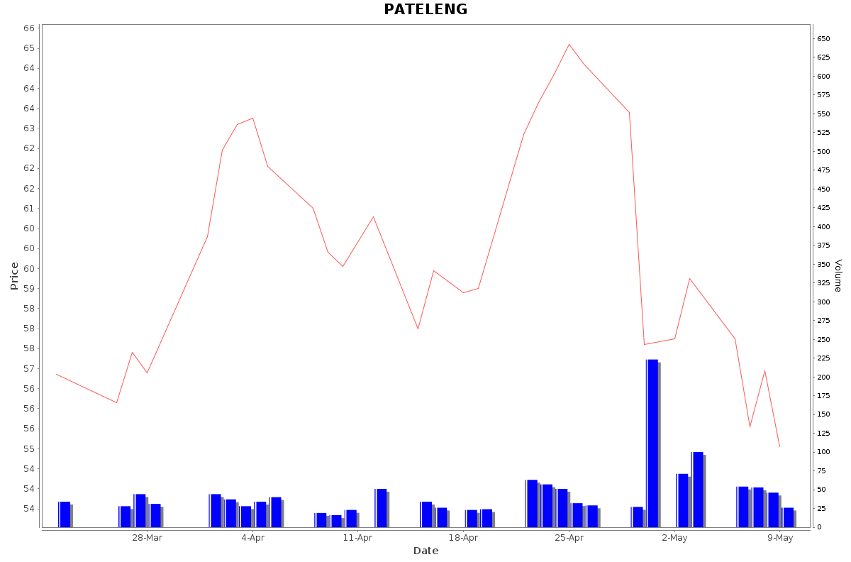 PATELENG Daily Price Chart NSE Today